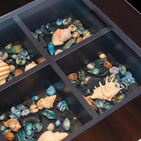 Apartment Lexxa 1 Casa Del Mar-mamaia Nord Mamaia